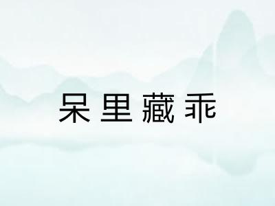 呆里藏乖