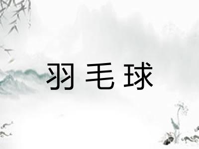 羽毛球
