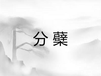 分蘗