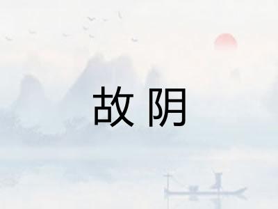 故阴