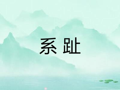系趾