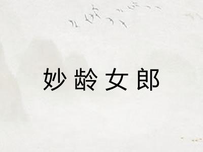 妙龄女郎