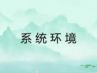 系统环境