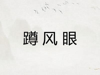 蹲风眼