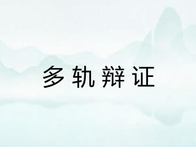 多轨辩证