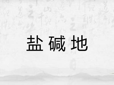 盐碱地