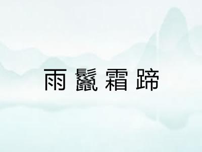 雨鬣霜蹄