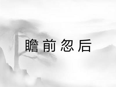瞻前忽后