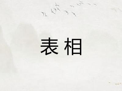 表相