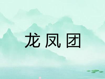 龙凤团