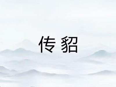 传貂
