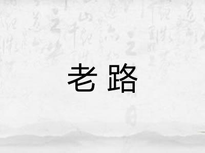 老路