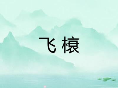 飞榱