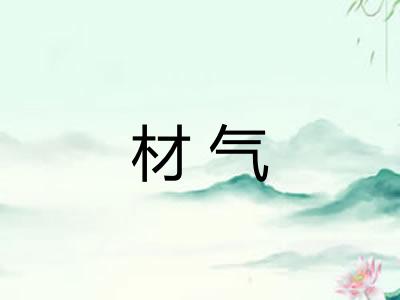 材气