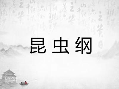 昆虫纲