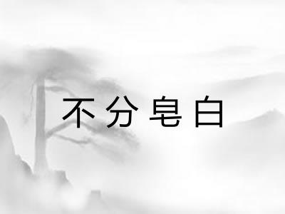 不分皂白
