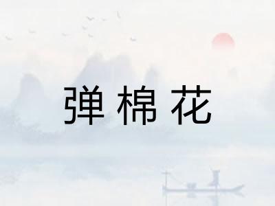 弹棉花