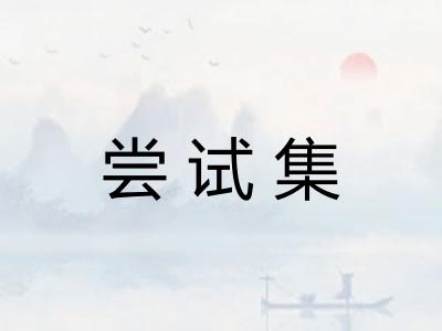 尝试集