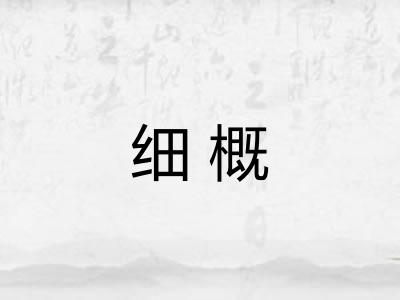 细概
