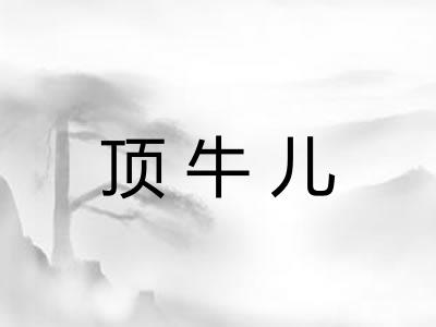 顶牛儿