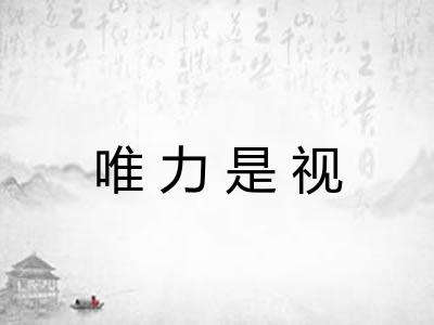 唯力是视