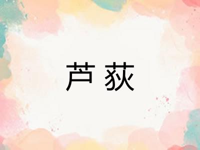 芦荻