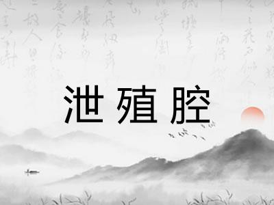 泄殖腔