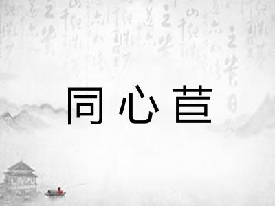 同心苣