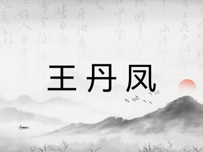 王丹凤