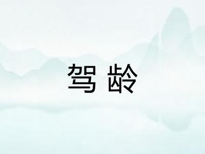 驾龄