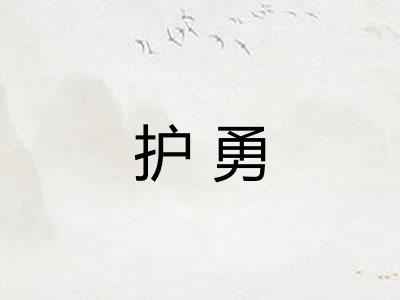 护勇