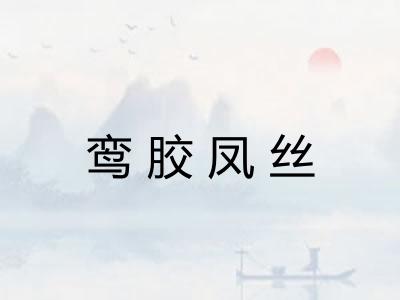 鸾胶凤丝