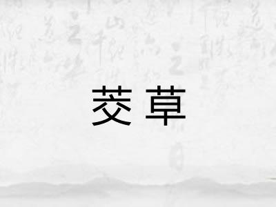 茭草