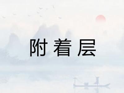 附着层