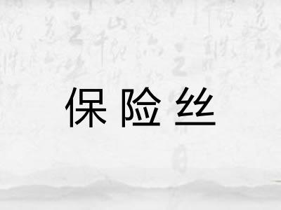 保险丝