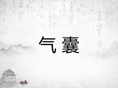 气囊