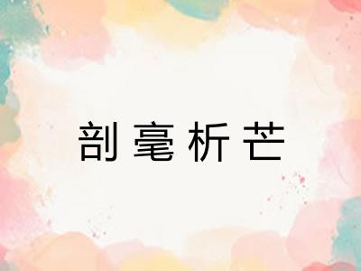 剖毫析芒