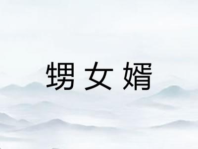 甥女婿