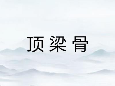 顶梁骨