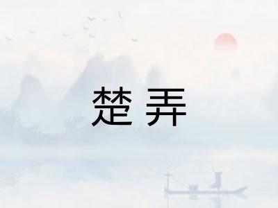 楚弄