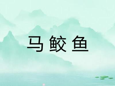 马鲛鱼