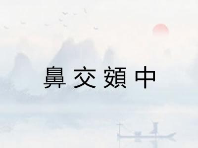鼻交頞中