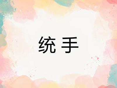 统手
