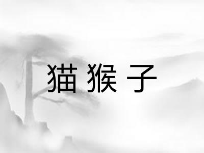 猫猴子