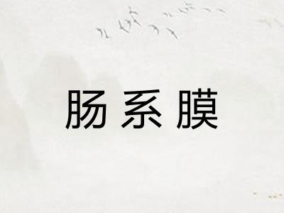 肠系膜