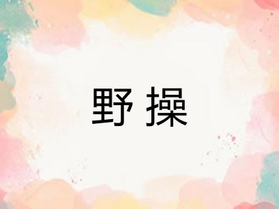 野操