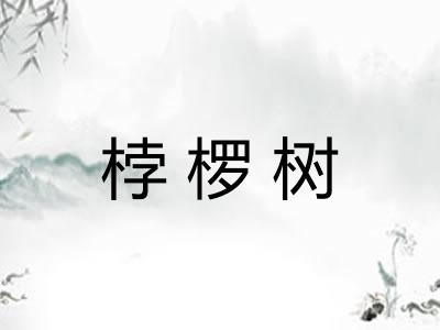 桲椤树