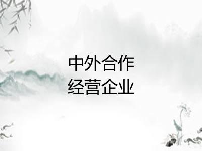 中外合作经营企业