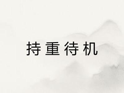 持重待机