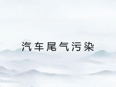 汽车尾气污染